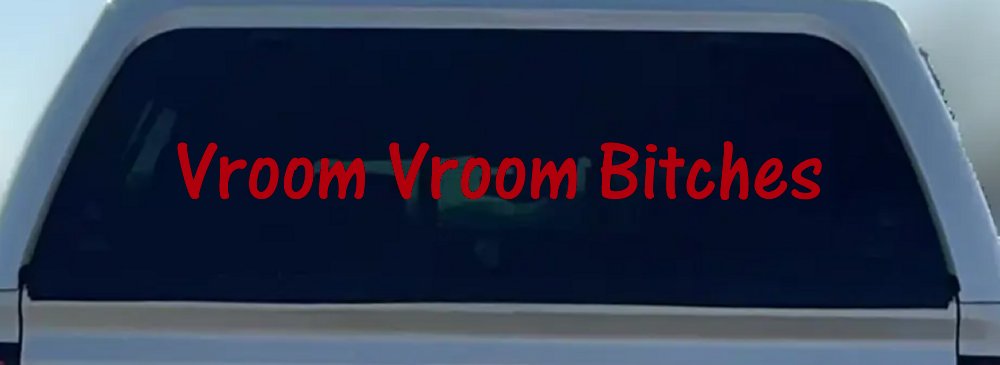 Vroom Vroom Bitches Funny Car or Truck Window Decal Sticker