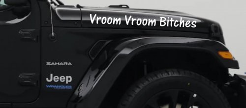 Vroom Vroom Bitches Funny Car or Truck Window Vinyl Decal Sticker (White)