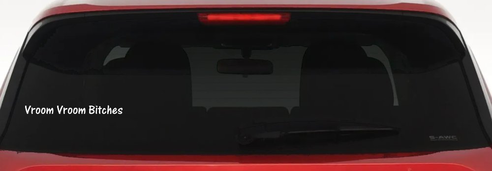 Vroom Vroom Bitches Funny Car or Truck Window Vinyl Decal Sticker (White)