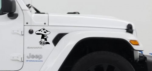Big and small Mushroom with Flowers Car or Truck Window Decal Sticker (Black)