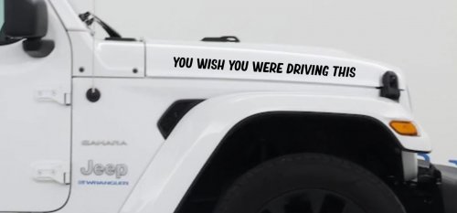 You Wish You Were Driving This Funny Car or Truck Window Vinyl Decal Sticker (Black)