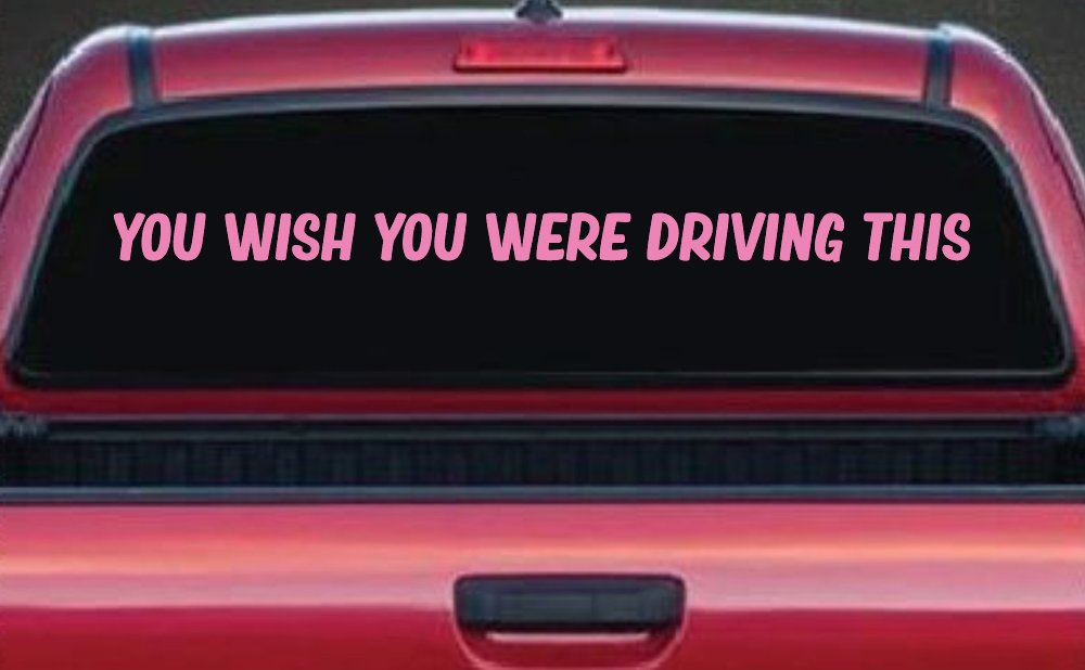 You Wish You Were Driving This Funny Car or Truck Window Decal Sticker (Pink)