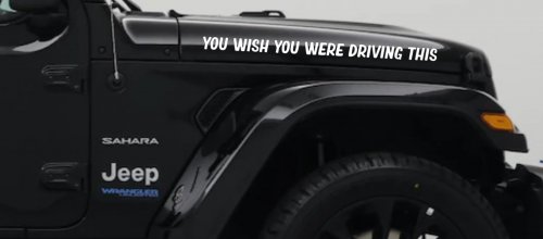 You Wish You Were Driving This Funny Car or Truck Window Vinyl Decal Sticker (White)