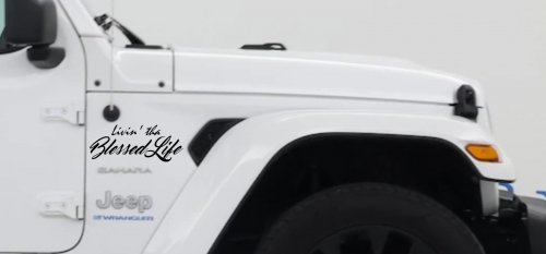 Livin' tha Blessed Life Car or Truck Window Decal Sticker (Black)