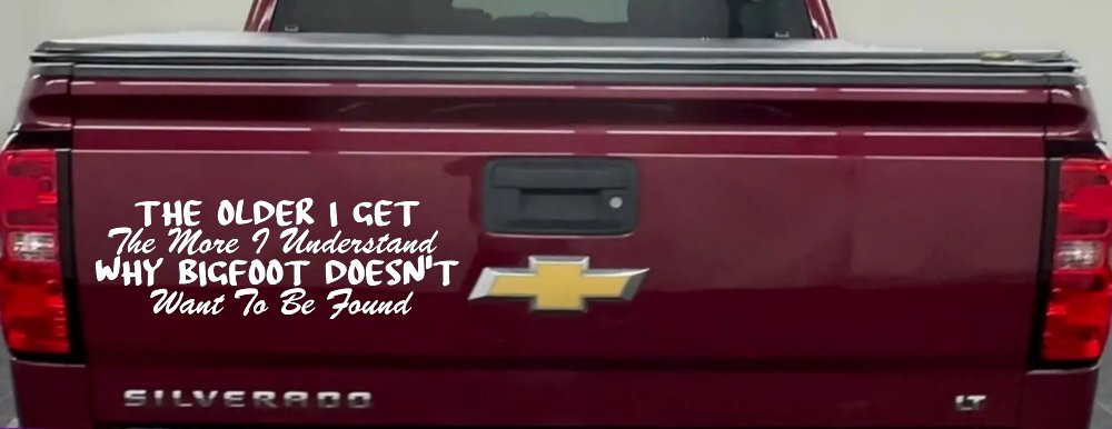 The Older I Get The More I Understand Why Bigfoot Doesn't Want to be Found vinyl Car or Truck Window Decal Sticker (White)