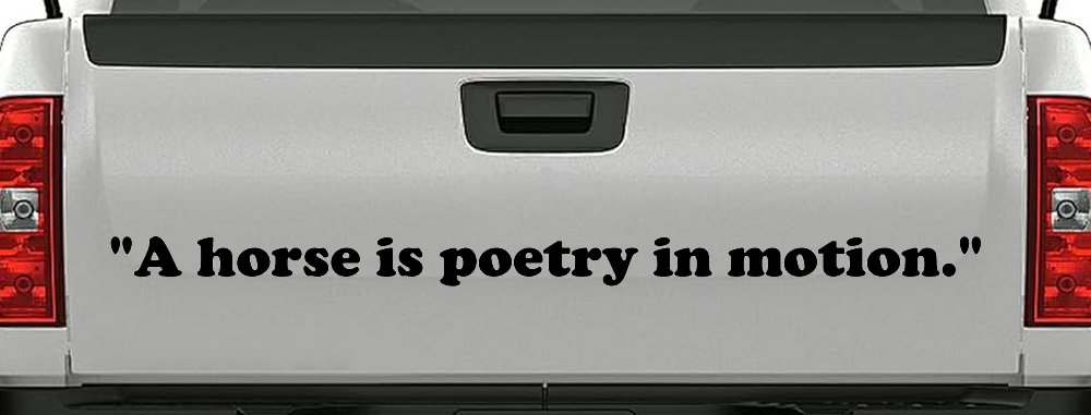 A horse is poetry in motion Vinyl Car or Truck Window Decal Sticker
