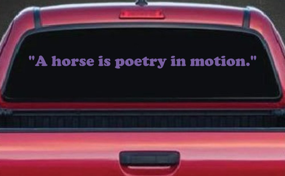 A horse is poetry in motion Vinyl Car or Truck Window Decal Sticker
