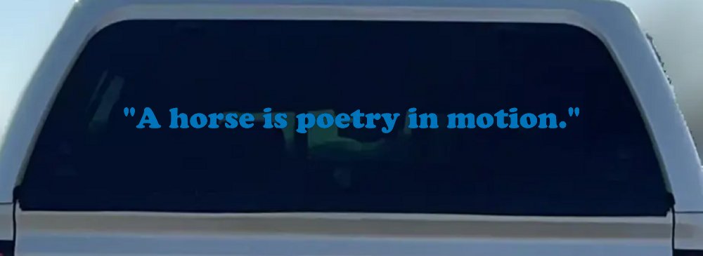 A horse is poetry in motion Vinyl Car or Truck Window Decal Sticker