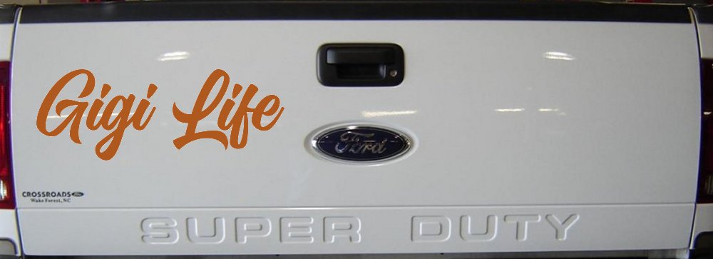 Gigi Life Vinyl Car or Truck Window Decal Sticker (Nut Brown)
