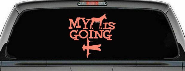 My Ass is Going Fishing Funny Vinyl Car or Truck Window Decal Sticker (Coral)