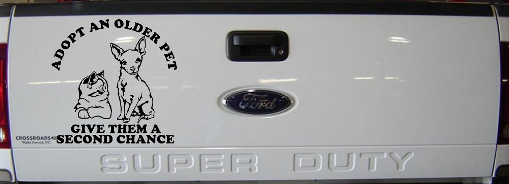 Adopt Older Pets Give Them a Second Chance Car or Truck Vinyl Window Decal Sticker (Black)