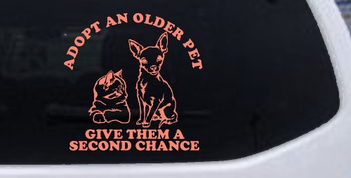 Adopt Older Pets Give Them a Second Chance Car or Truck Vinyl Window Decal Sticker (Coral)