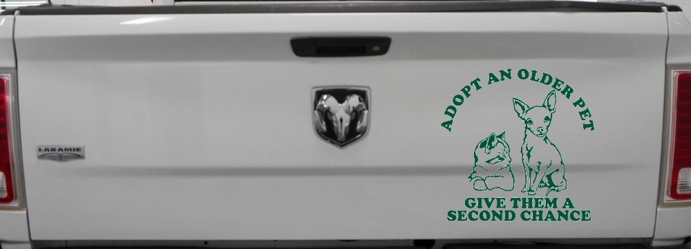 Adopt Older Pets Give Them a Second Chance Car or Truck Vinyl Window Decal Sticker (Dark Green)