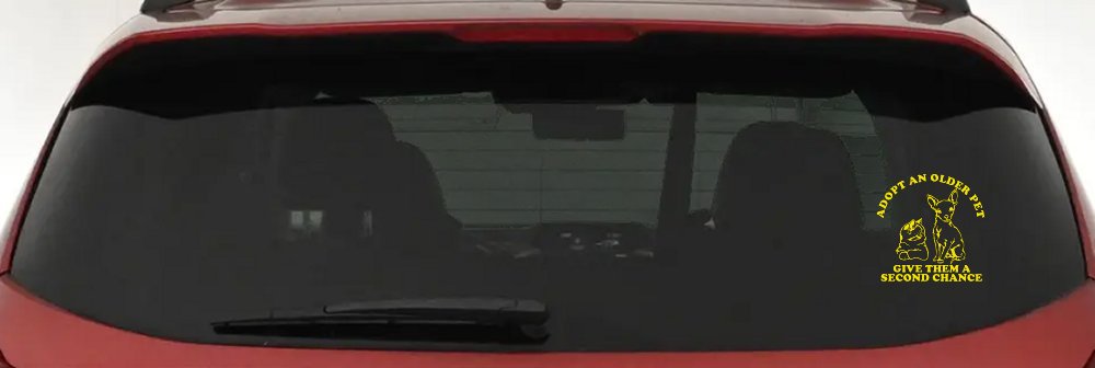 Adopt Older Pets Give Them a Second Chance Car or Truck Vinyl Window Decal Sticker (Yellow)