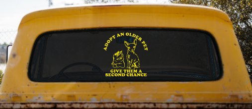 Adopt Older Pets Give Them a Second Chance Car or Truck Vinyl Window Decal Sticker (Yellow)