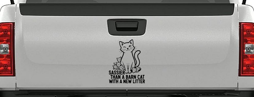 Sassier Than A Barn Cat With A New Litter Car or Truck Vinyl Window Decal Sticker (Black)