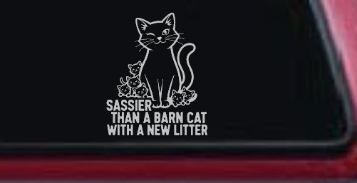 Sassier Than A Barn Cat With A New Litter Car or Truck Vinyl Window Decal Sticker (Light Gray)