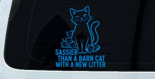 Sassier Than A Barn Cat With A New Litter Car or Truck Vinyl Window Decal Sticker (Sky Blue)