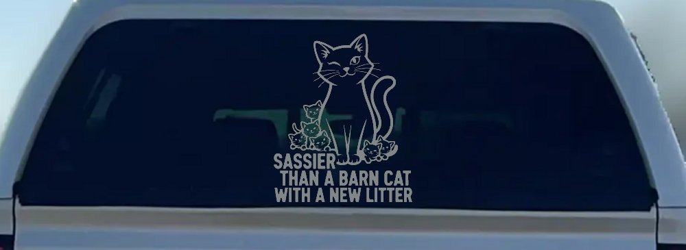 Sassier Than A Barn Cat With A New Litter Car or Truck Vinyl Window Decal Sticker (Telegrey)