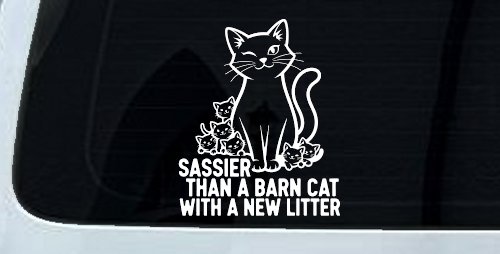 Sassier Than A Barn Cat With A New Litter Car or Truck Vinyl Window Decal Sticker (White)