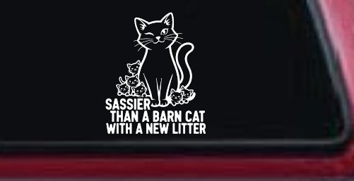 Sassier Than A Barn Cat With A New Litter Car or Truck Vinyl Window Decal Sticker (White)