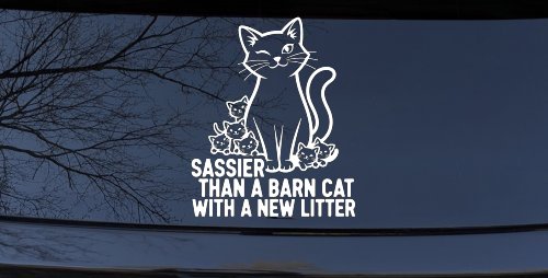 Sassier Than A Barn Cat With A New Litter Car or Truck Vinyl Window Decal Sticker (White)