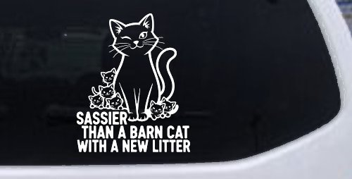 Sassier Than A Barn Cat With A New Litter Car or Truck Vinyl Window Decal Sticker (White)