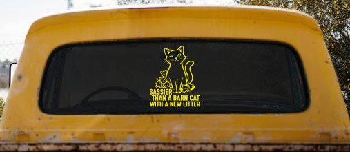 Sassier Than A Barn Cat With A New Litter Car or Truck Vinyl Window Decal Sticker (Yellow)