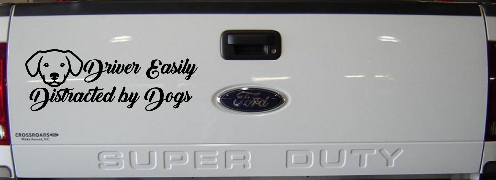 Driver Easily Distracted by Dogs Car or Truck Vinyl Window Decal Sticker (Black)