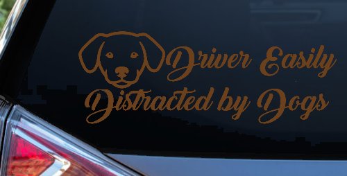 Driver Easily Distracted by Dogs Car or Truck Vinyl Window Decal Sticker (Copper)