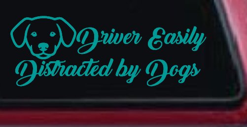 Driver Easily Distracted by Dogs Car or Truck Vinyl Window Decal Sticker (Turquoise)