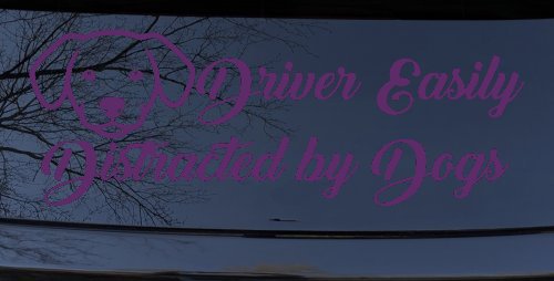 Driver Easily Distracted by Dogs Car or Truck Vinyl Window Decal Sticker (Violet)