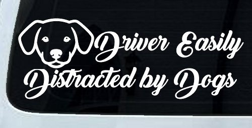 Driver Easily Distracted by Dogs Car or Truck Vinyl Window Decal Sticker (White)