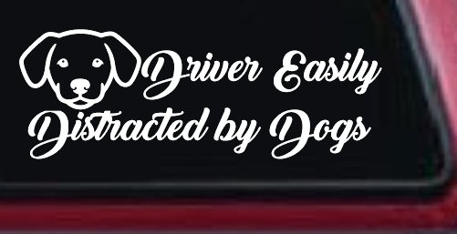 Driver Easily Distracted by Dogs Car or Truck Vinyl Window Decal Sticker (White)