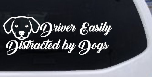 Driver Easily Distracted by Dogs Car or Truck Vinyl Window Decal Sticker (White)