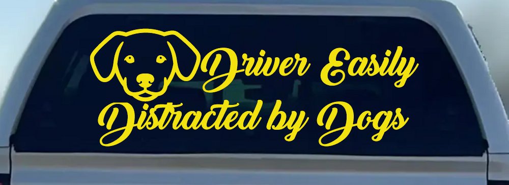 Driver Easily Distracted by Dogs Car or Truck Vinyl Window Decal Sticker (Yellow)