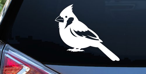 Cardinal Bird Car or Truck Vinyl Window Decal Sticker (White)