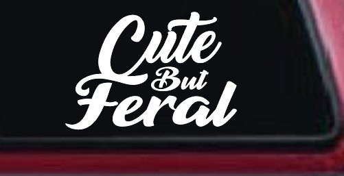 Funny Cute But Feral Car or Truck Vinyl Window Decal Sticker (White)