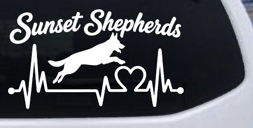 Sunset Shepherds Jumping Special Request Car or Truck Vinyl Window Decal Sticker (White)