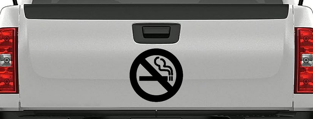 NO SMOKING Car or Truck Window Decal Sticker