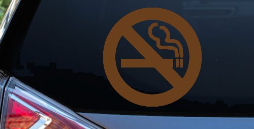 NO SMOKING Car or Truck Window Decal Sticker