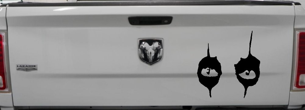 Cooper Eyes Car or Truck Window Decal Sticker (Black)