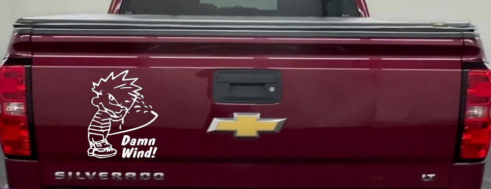 Funny Damn Wind Pee Ons Car or Truck Window Vinyl Decal Sticker (White)