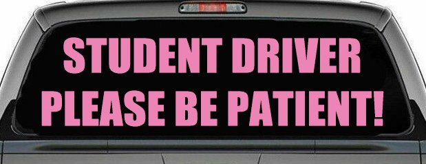 Student Driver Please Be Patient Car or Truck Window Decal Sticker (Pink)