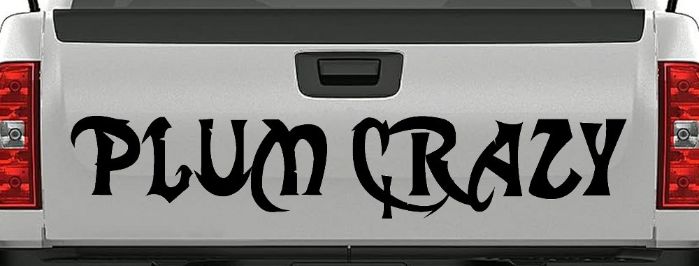 Plum Crazy Motor Sports Car or Truck Window Decal Sticker