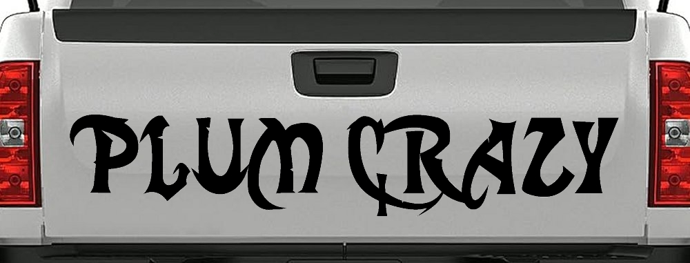 Plum Crazy Motor Sports Car or Truck Window Decal Sticker