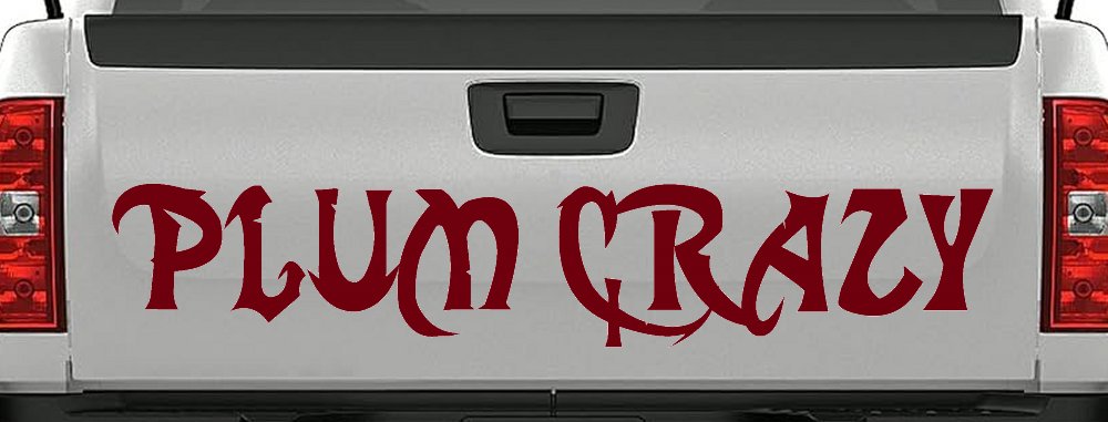 Plum Crazy Motor Sports Car or Truck Window Decal Sticker (Burgundy)