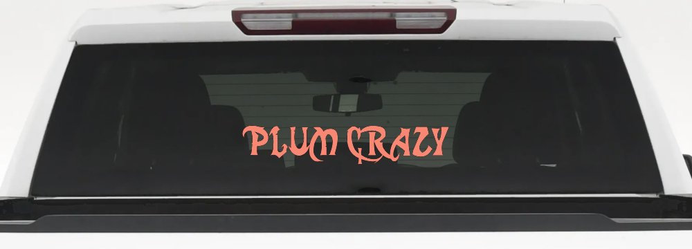 Plum Crazy Motor Sports Car or Truck Window Decal Sticker