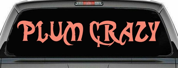 Plum Crazy Motor Sports Car or Truck Window Decal Sticker