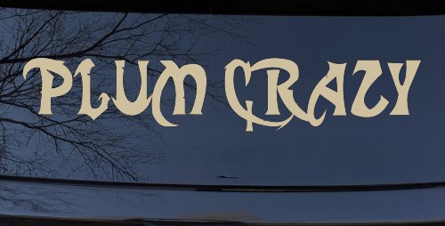 Plum Crazy Motor Sports Car or Truck Window Decal Sticker